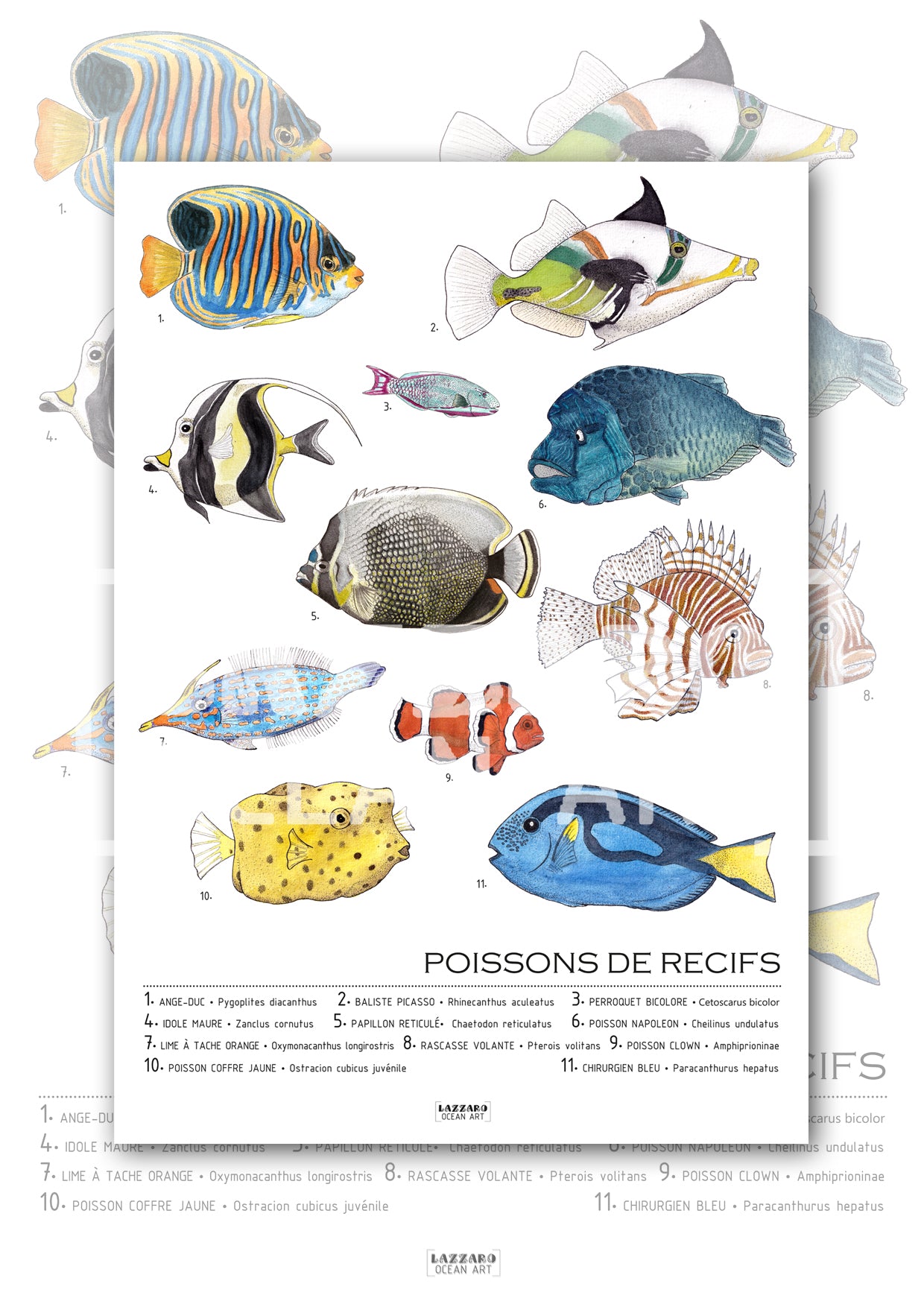 Affiche - Les poissons de récifs coraliens