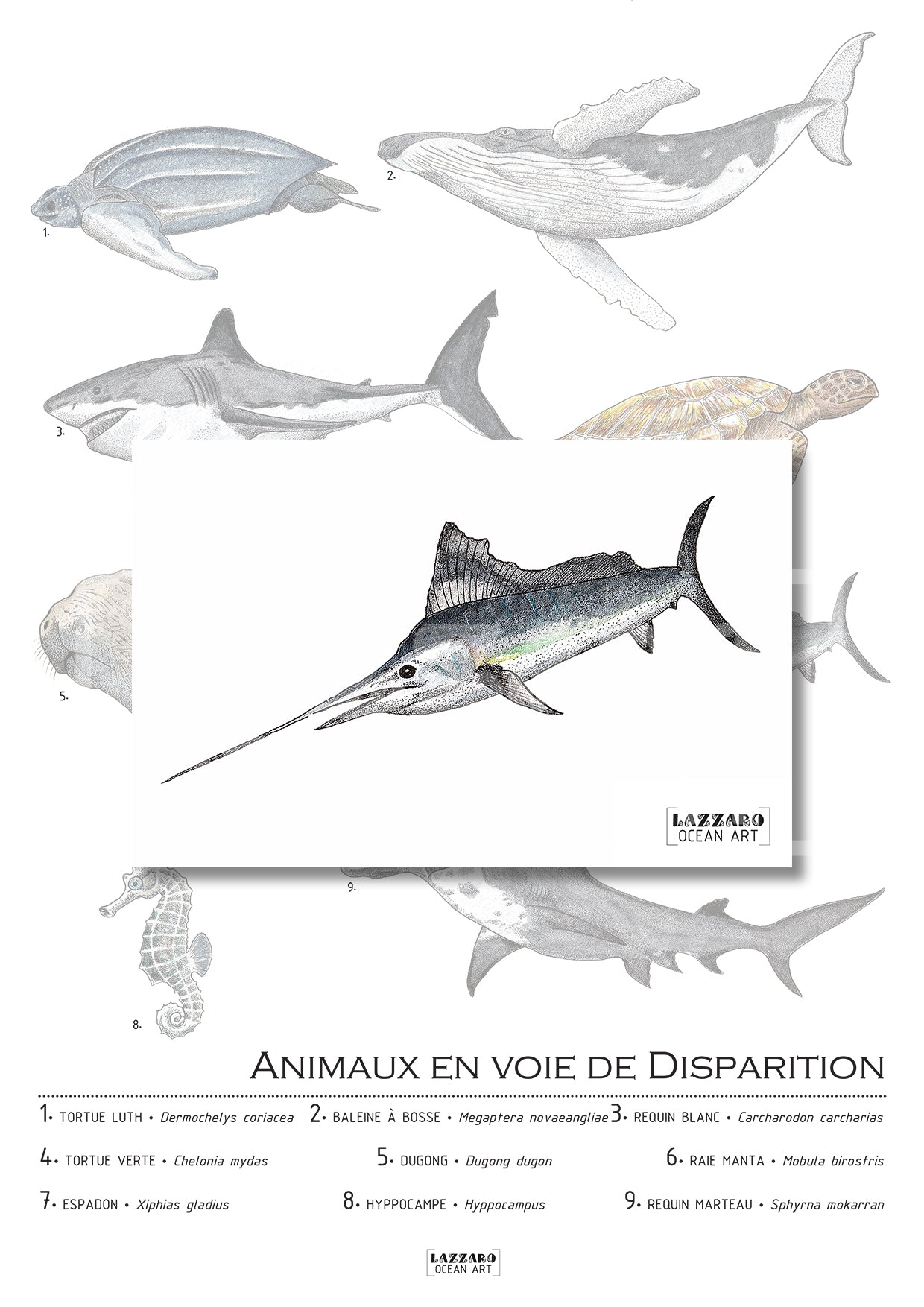 Carte postale - Espadon