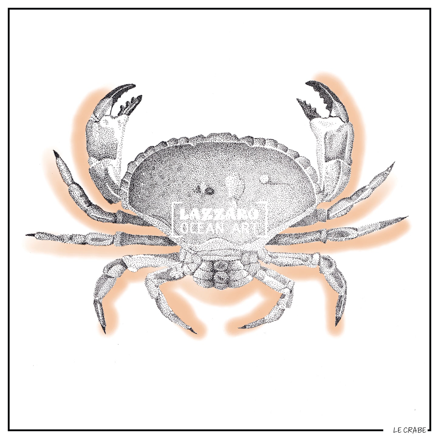 Le Crabe - Collection Capsule fin d'année