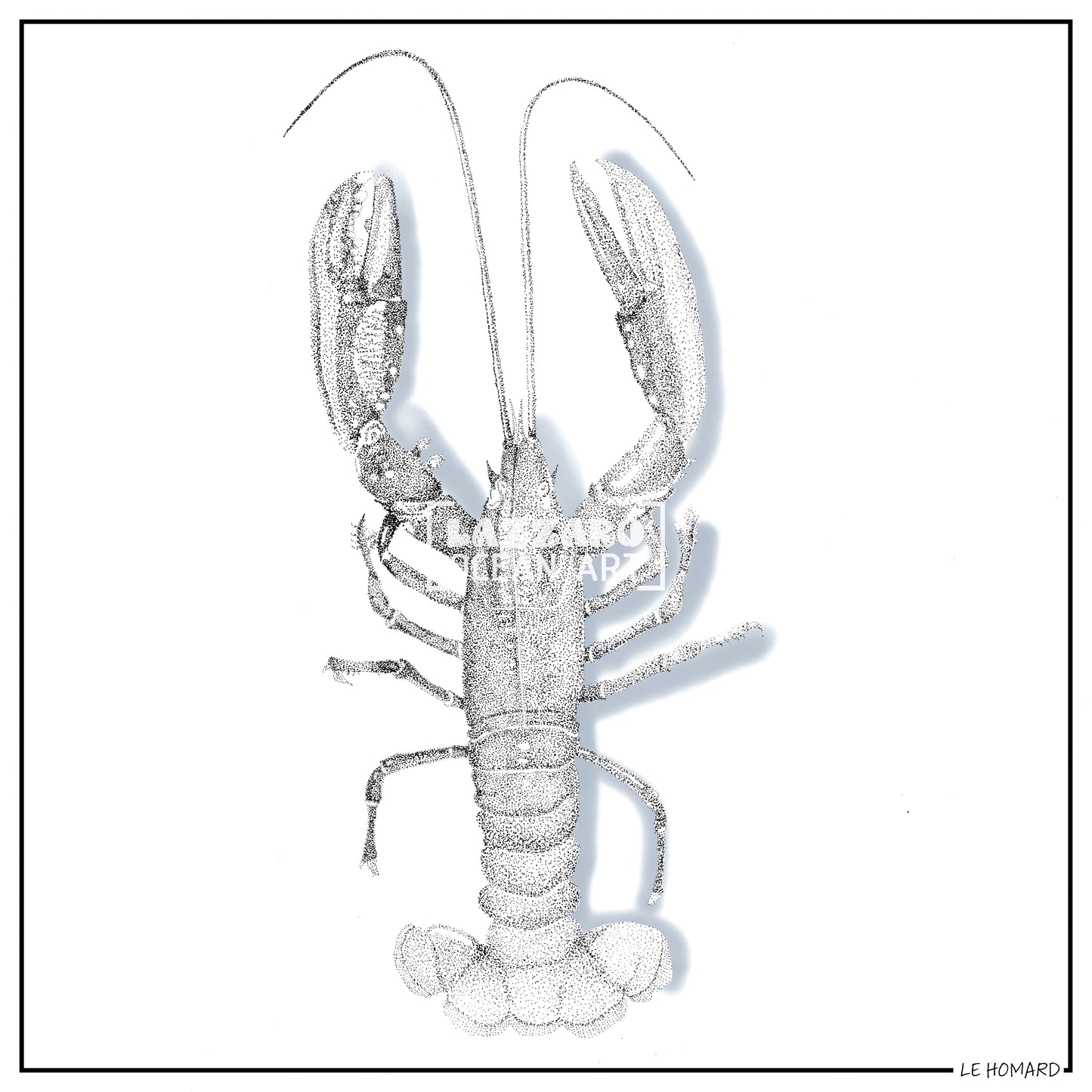 Le Homard - Collection Capsule fin d'année