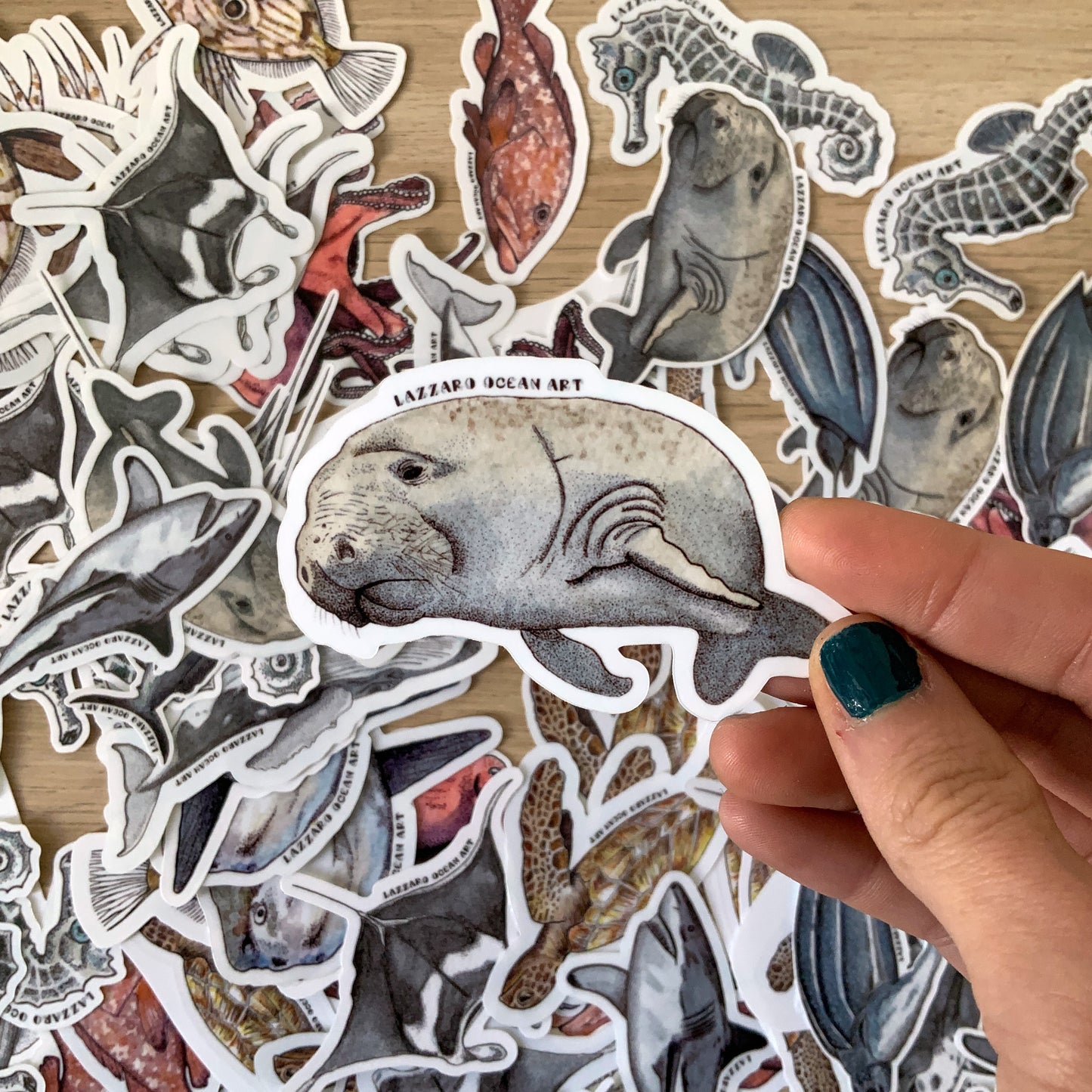 Stickers fond blanc - Fragments d'océan