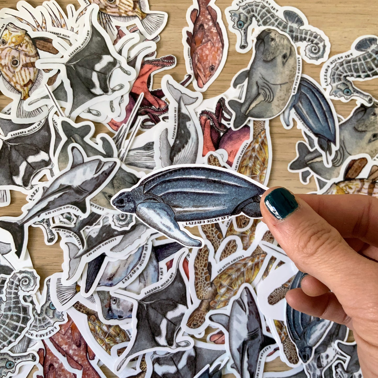 Stickers fond blanc - Fragments d'océan