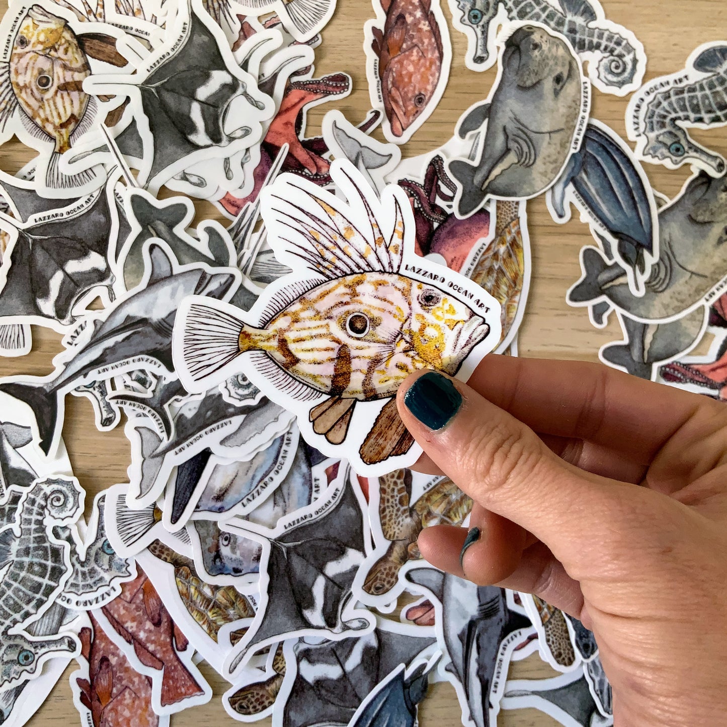 Stickers fond transparent - Légèreté aquatique