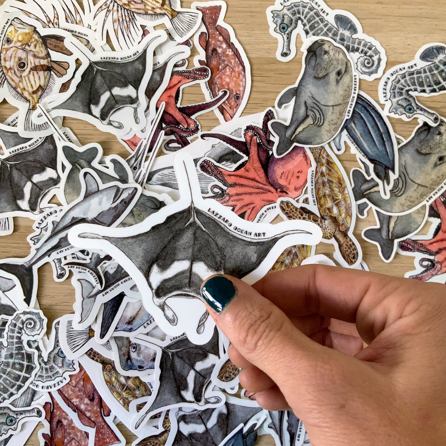 Stickers fond blanc - Fragments d'océan
