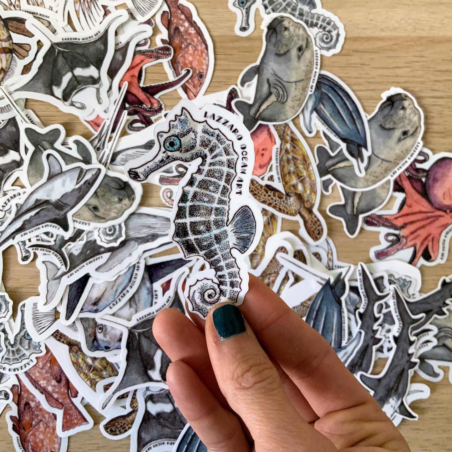 Stickers fond blanc - Fragments d'océan