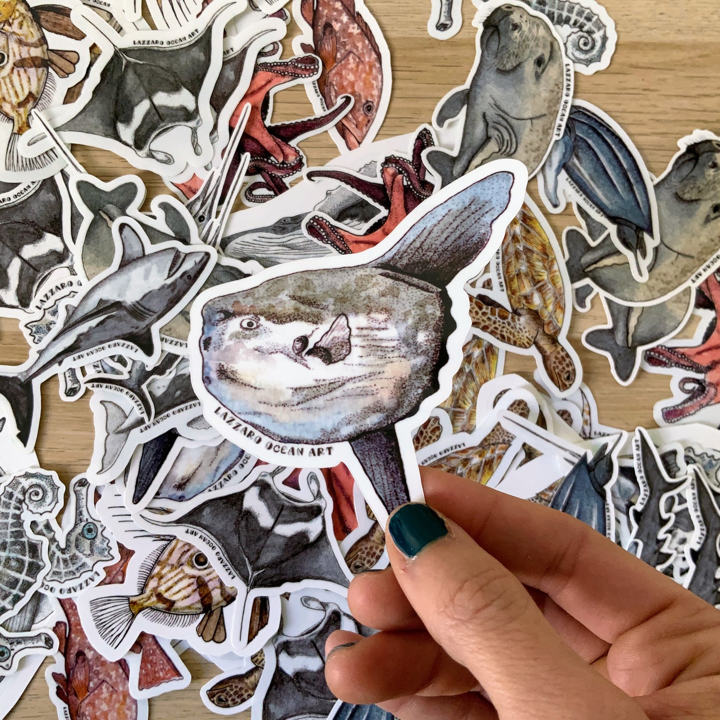 Stickers fond blanc - Fragments d'océan
