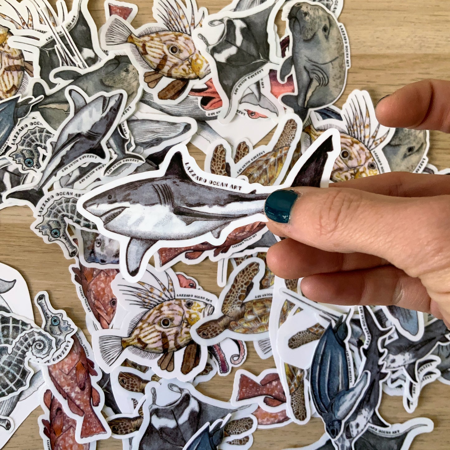 Stickers fond blanc - Fragments d'océan
