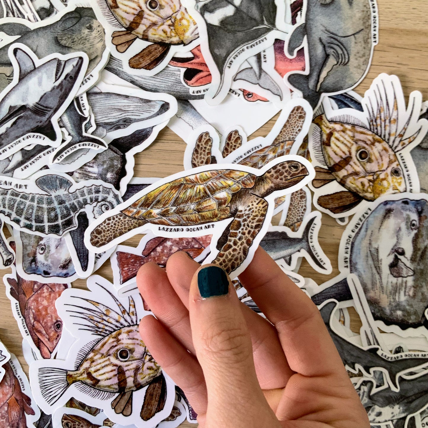 Stickers fond blanc - Fragments d'océan