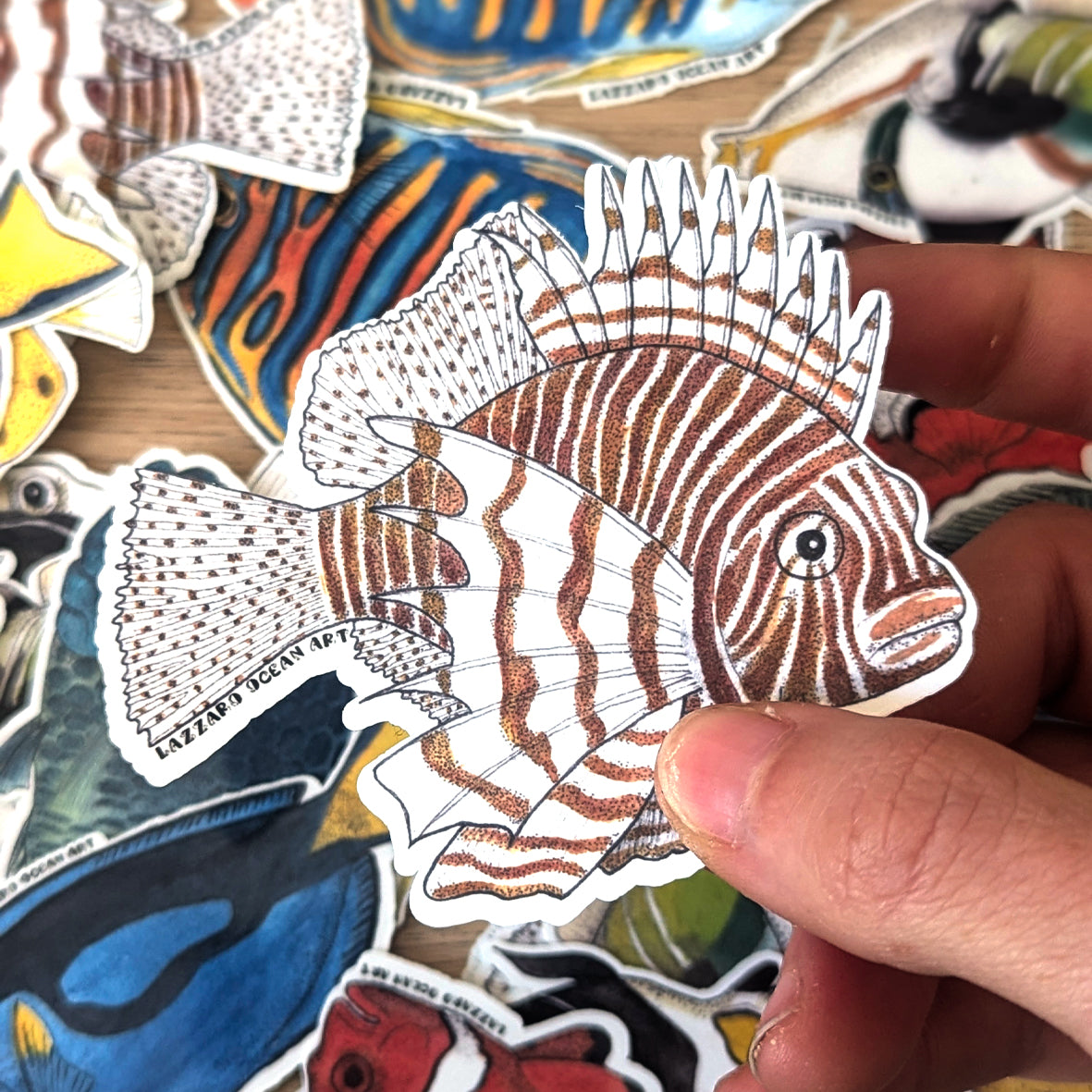 Stickers fond blanc - Fragments d'océan