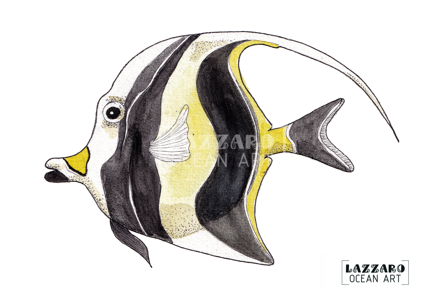 Carte postale - Poisson Idole Maure