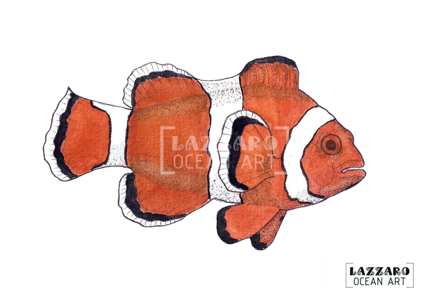 Carte postale - Poisson clown