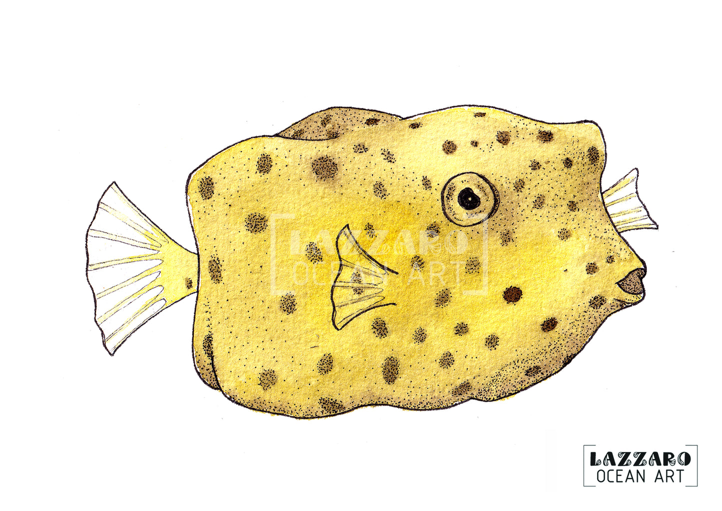 Carte postale - Poisson coffre jaune