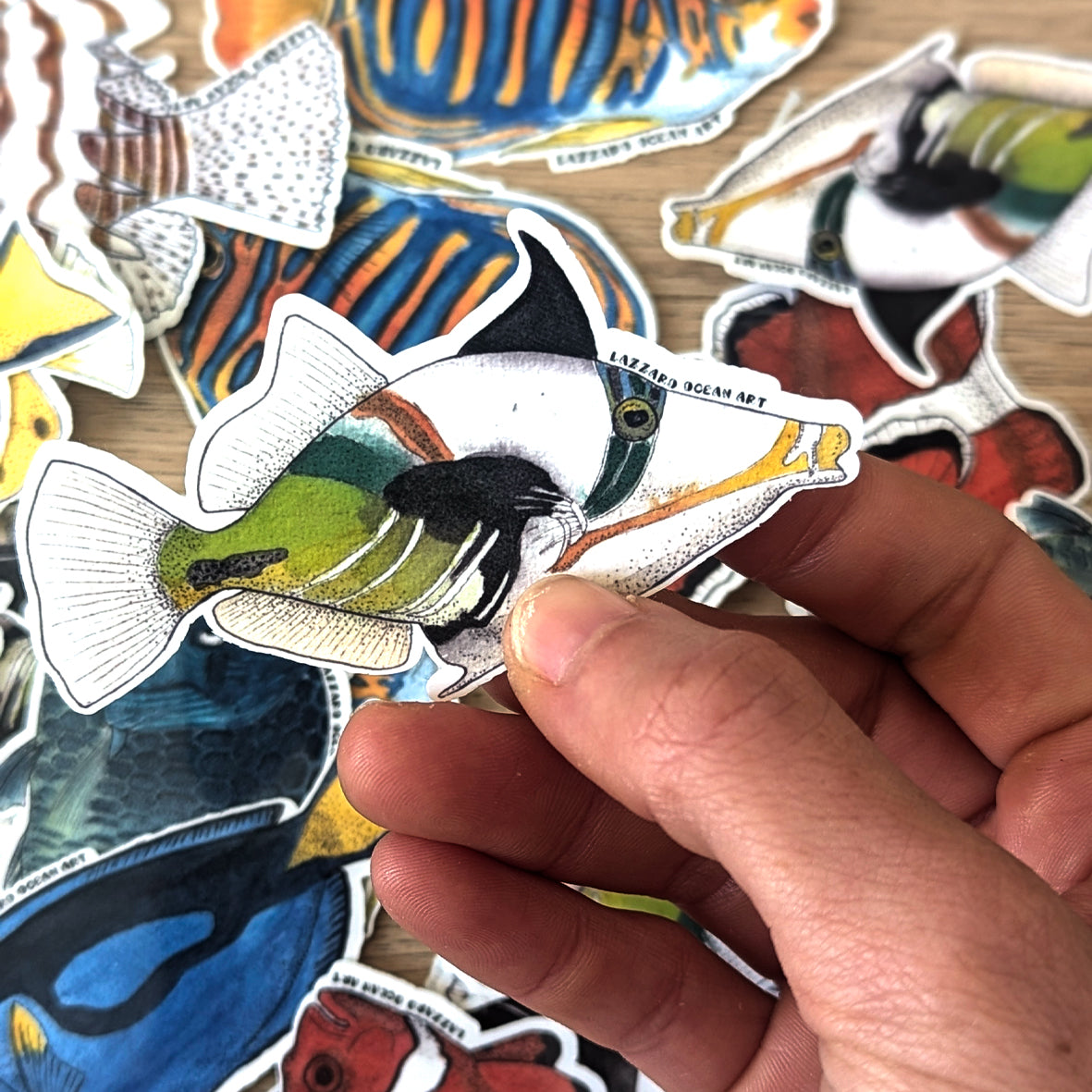 Stickers fond blanc - Fragments d'océan