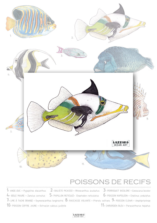 Carte postale - Baliste picasso
