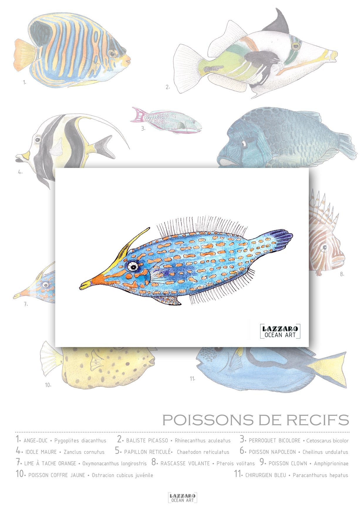 Carte postale - Poisson Lime à taches oranges