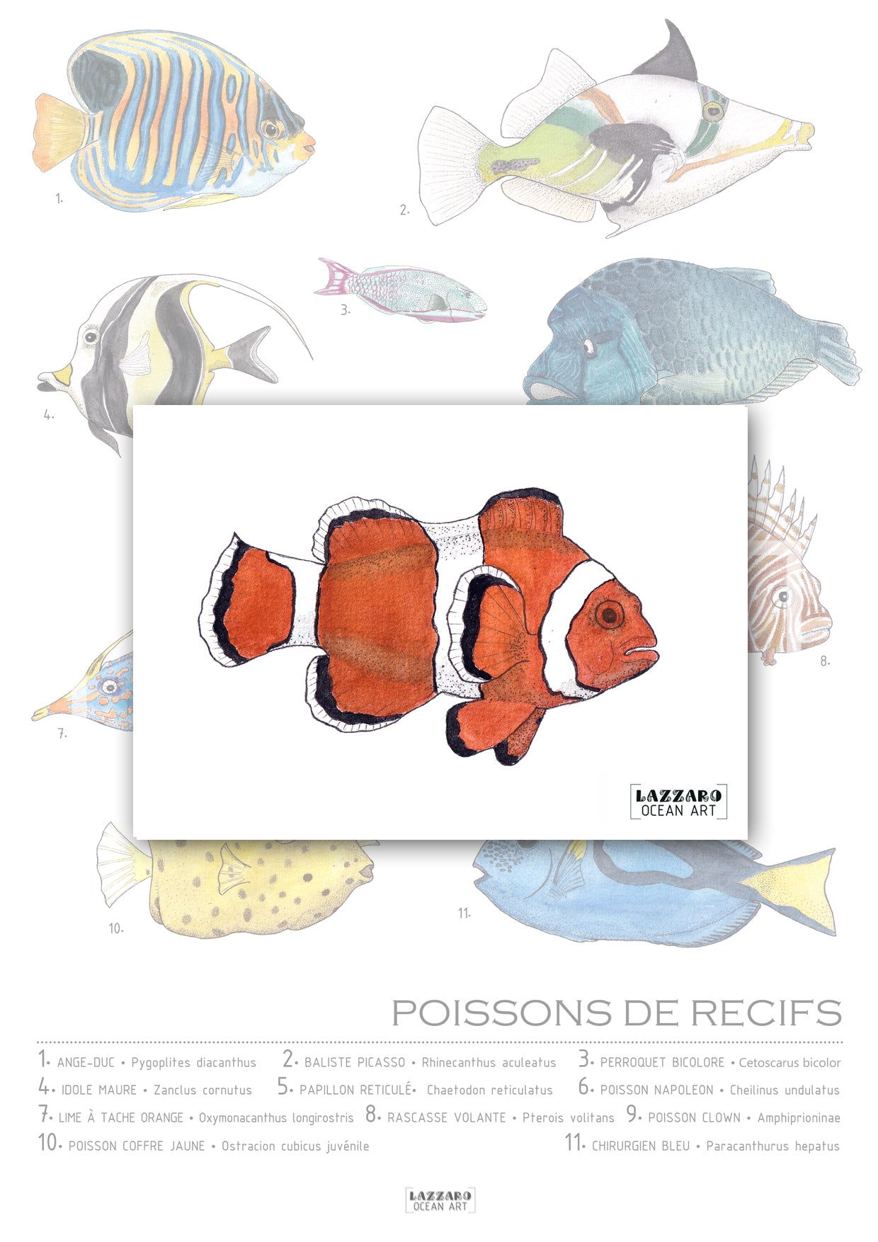 Carte postale - Poisson  clown