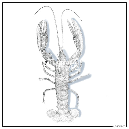 Le Homard - Collection Capsule fin d'année