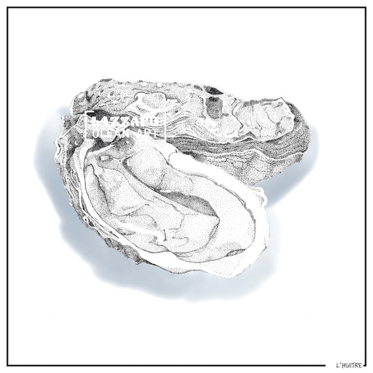 L'huitre - Collection Capsule fin d'année