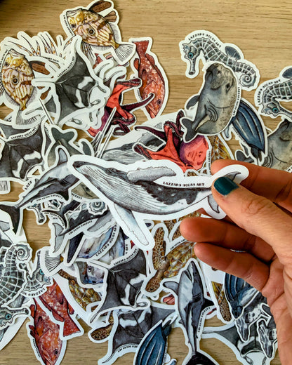 Stickers XXL pour gourde