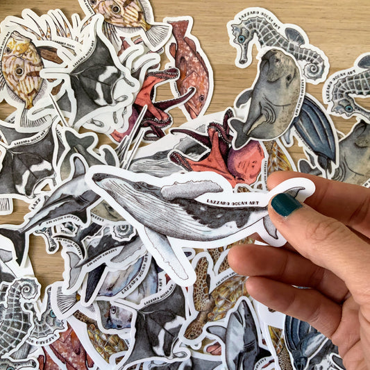 Stickers fond transparent - Légèreté aquatique