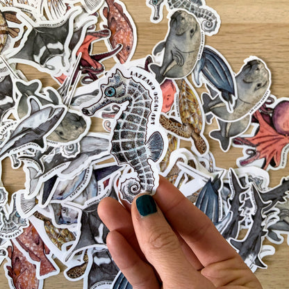 Stickers XXL pour gourde