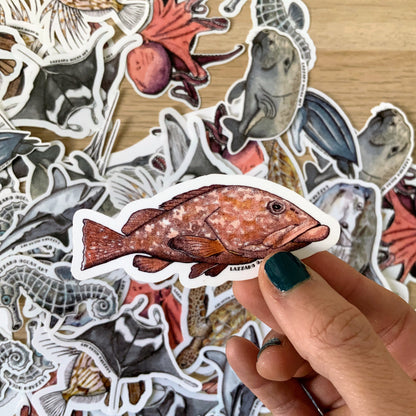 Stickers XXL pour gourde