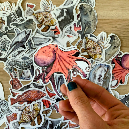 Stickers XXL pour gourde