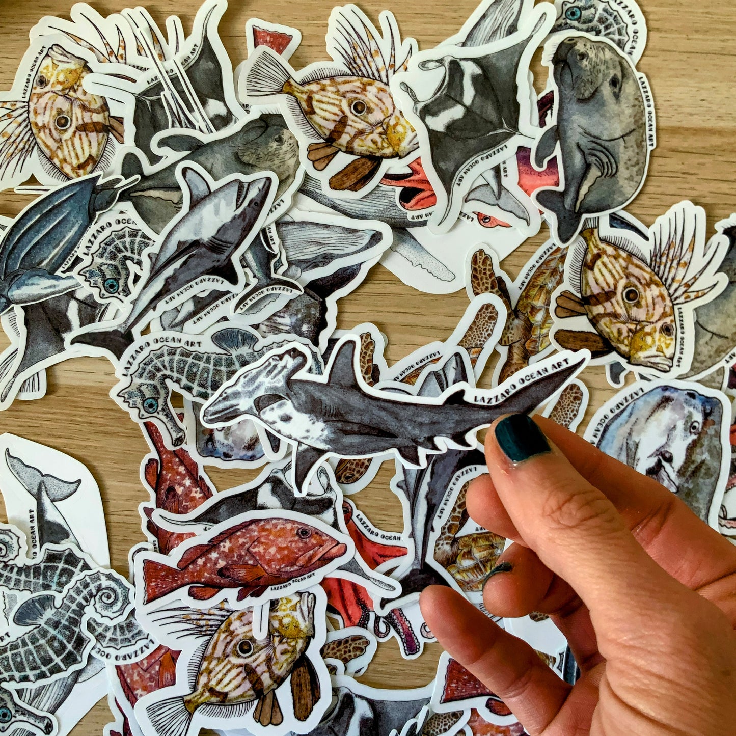 Stickers XXL pour gourde