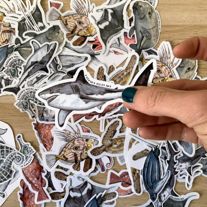 Stickers XXL pour gourde