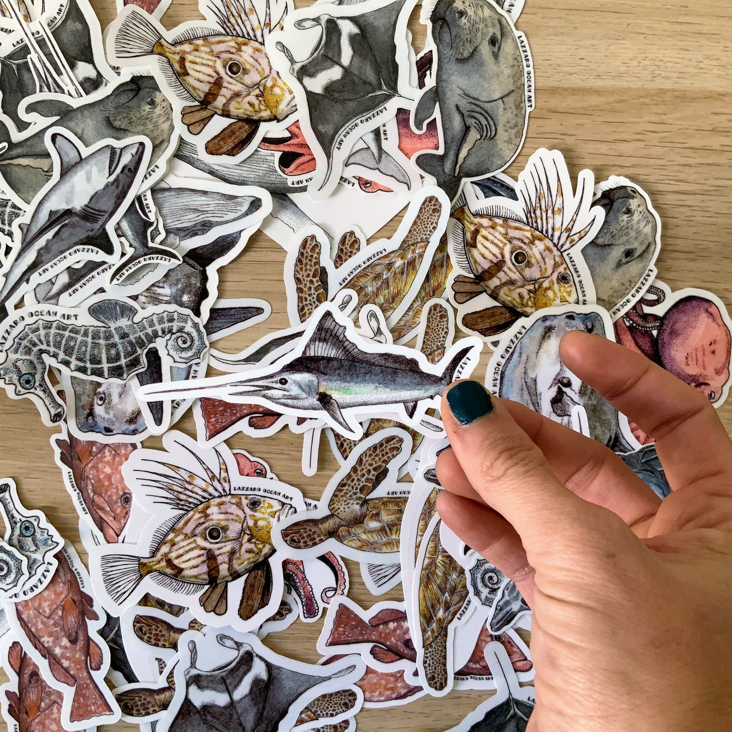 Stickers XXL pour gourde