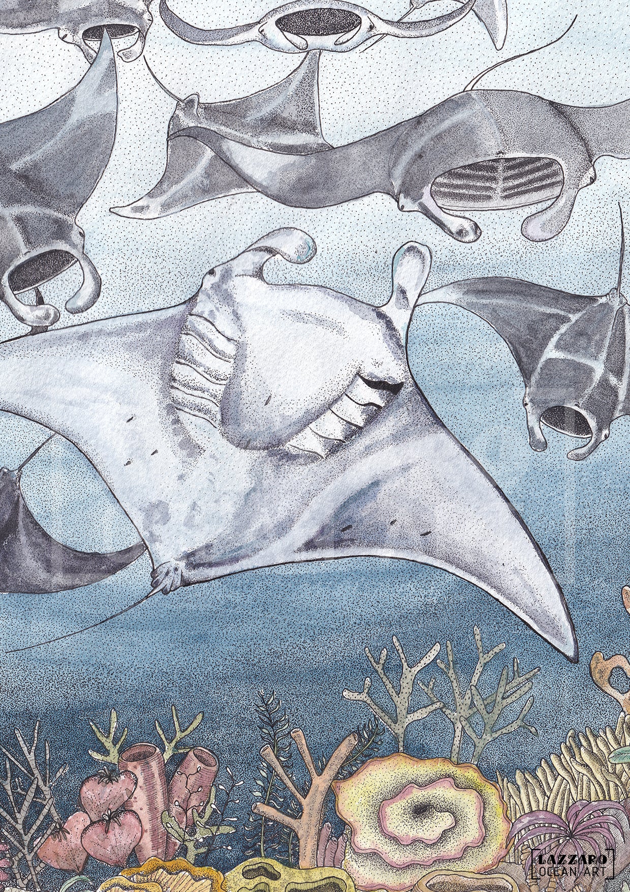 Manta l'eau