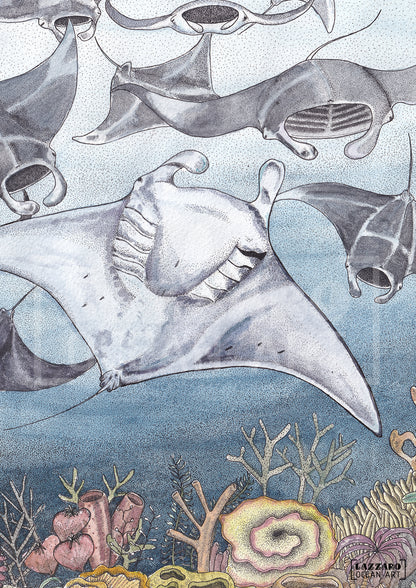 Manta l'eau