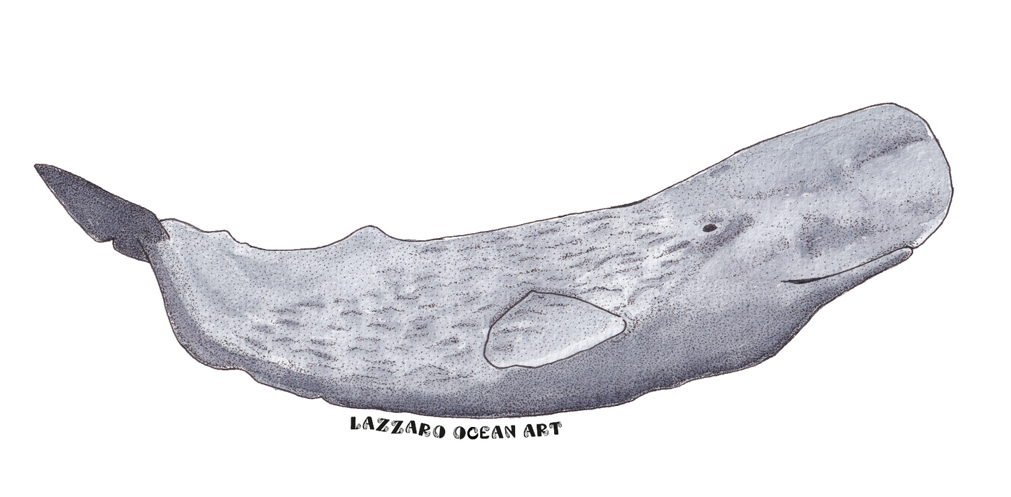 Stickers imperméable