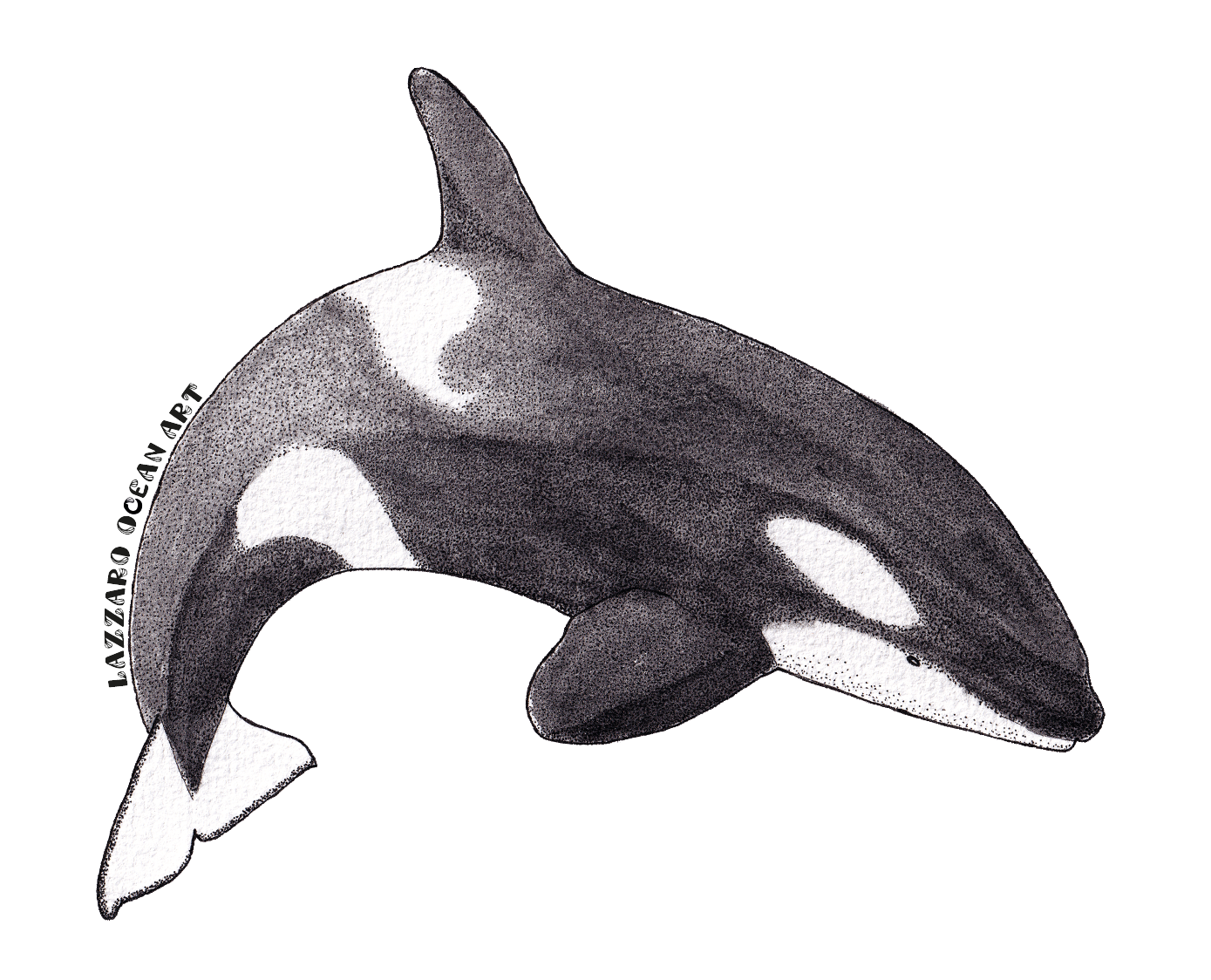 Stickers imperméable