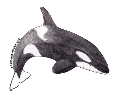 Stickers imperméable