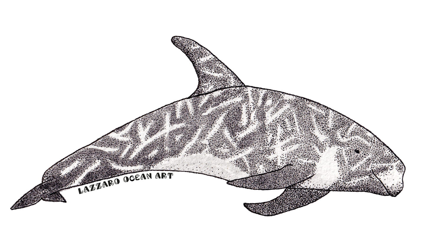 Stickers imperméable