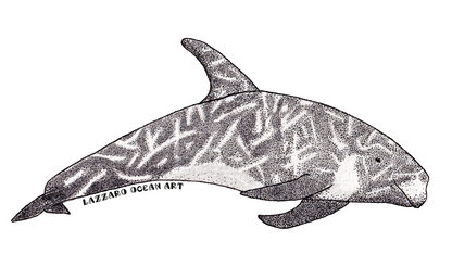 Stickers imperméable