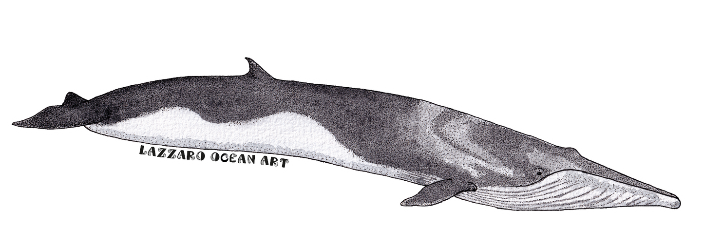 Stickers imperméable