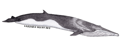 Stickers imperméable