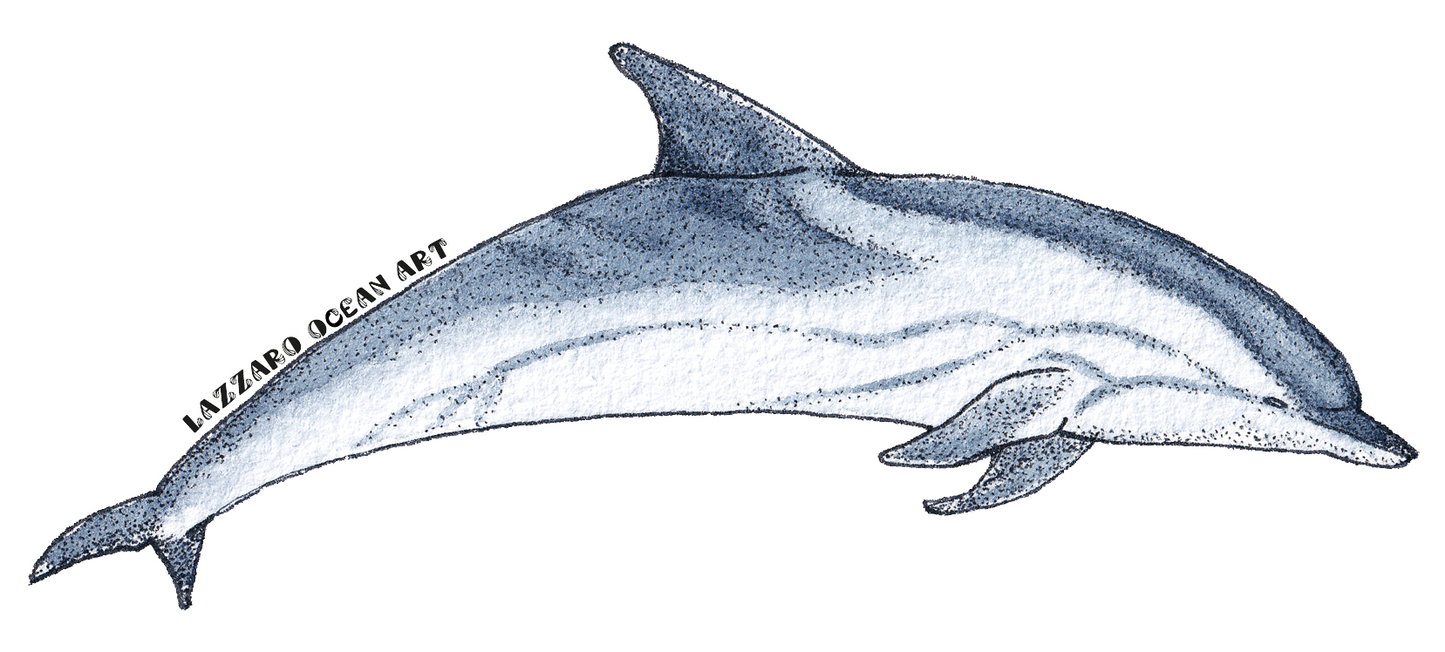 Stickers imperméable