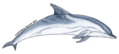 Stickers imperméable