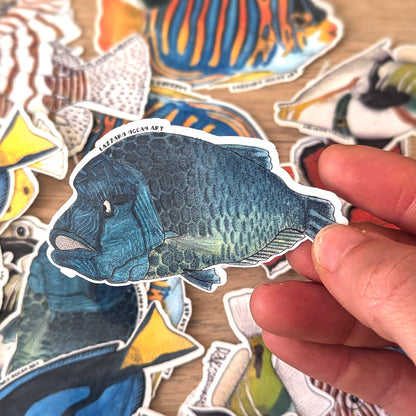 Stickers XXL pour gourde