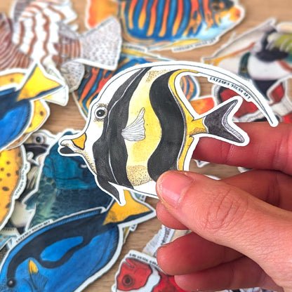 Stickers XXL pour gourde