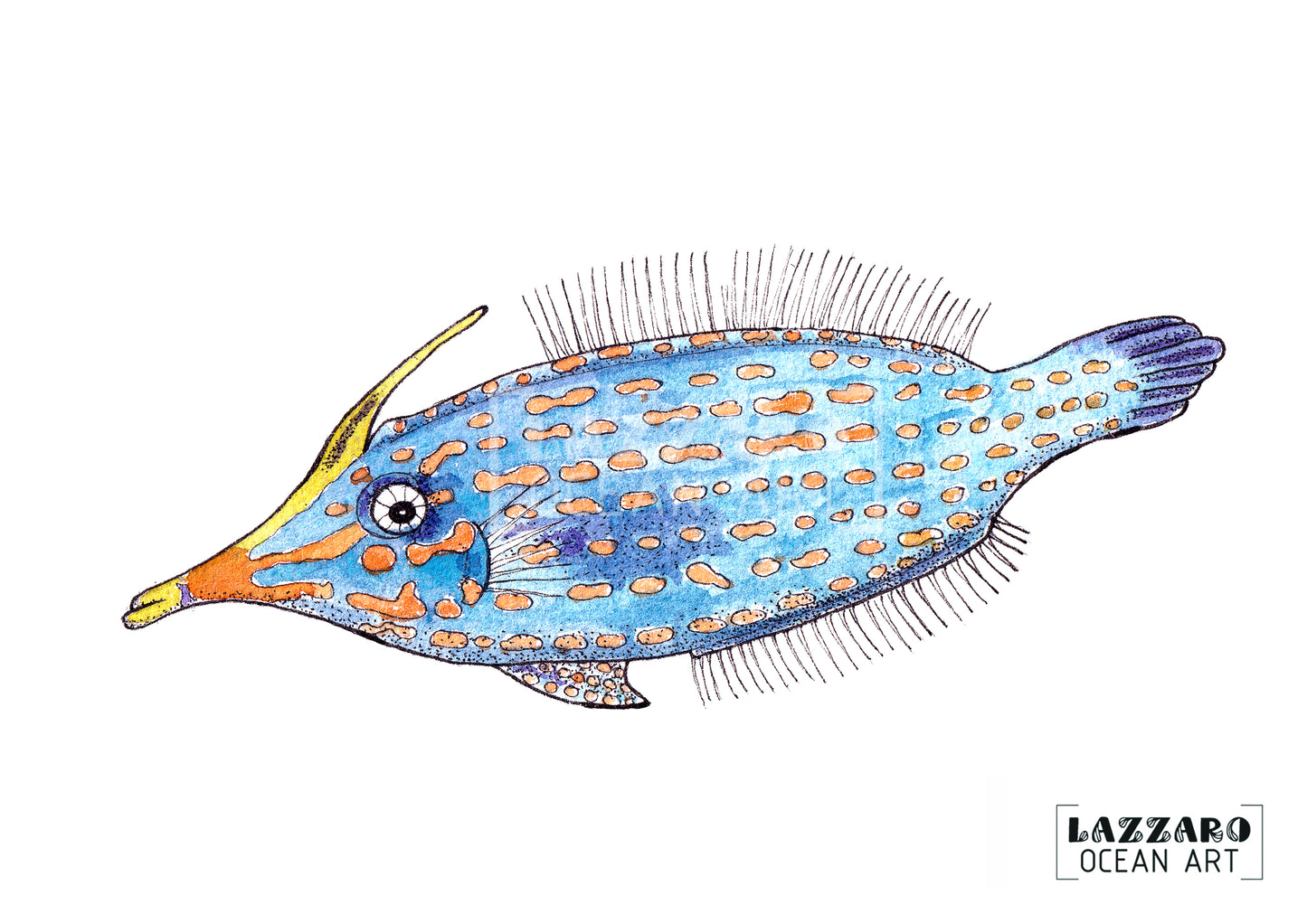 Carte postale - Poisson Lime à taches oranges