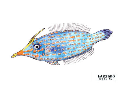 Carte postale - Poisson Lime à taches oranges