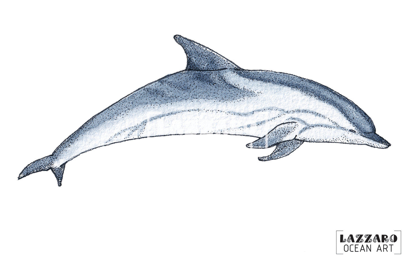 Carte postale - Dauphin bleu et blanc