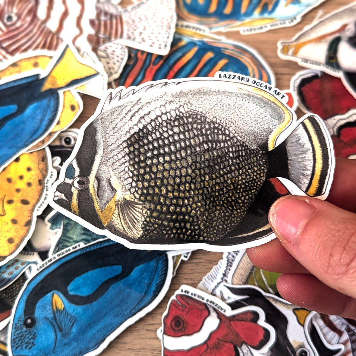 Stickers XXL pour gourde